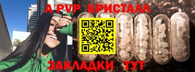 стафф Новокубанск